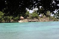Zicht strand eilandcommunity - Mababoy, Bihol, Filipijnen van Stefan Speelberg thumbnail