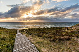 Bohlenweg über Rotes Kliff in Kampen auf Sylt an der Nordsee von Werner Dieterich