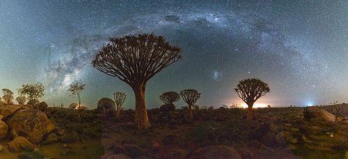 Melkweg boven het kokerbomenbos