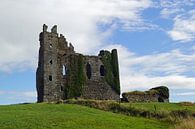 Ballycarbery Castle in Ierland van Babetts Bildergalerie thumbnail