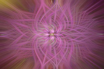Twirl – Erika