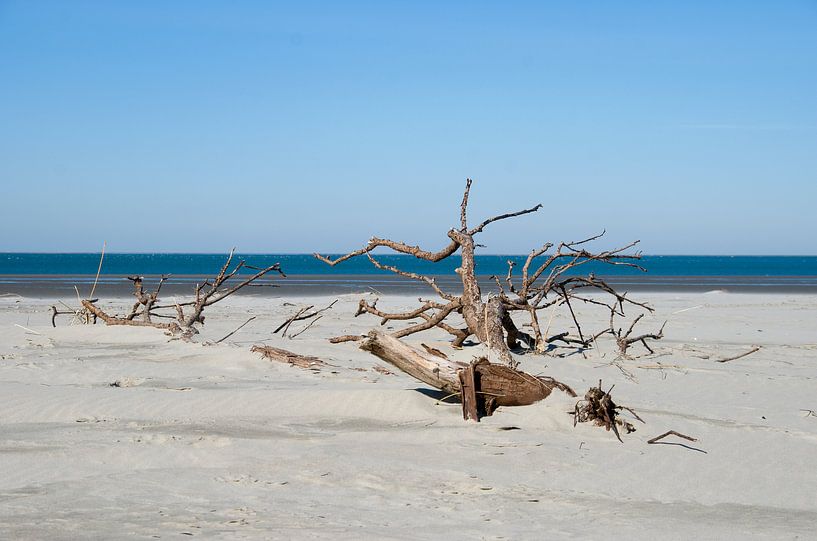 Omgevingsfotos van Floris de Groot