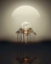 Aesthetic minimalism