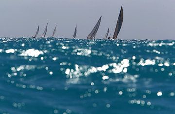 REGATTA by Sybrand Treffers