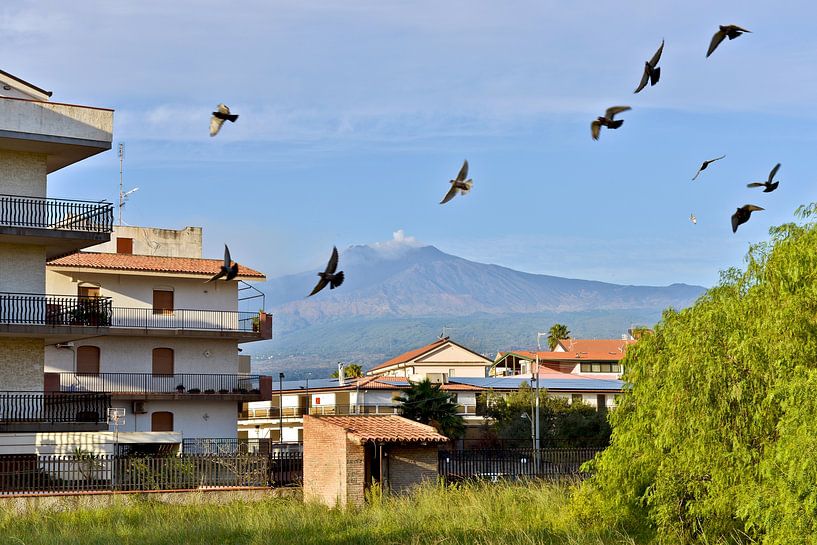 Morning flock of birds in front of the smoking volcano Etna by Silva Wischeropp