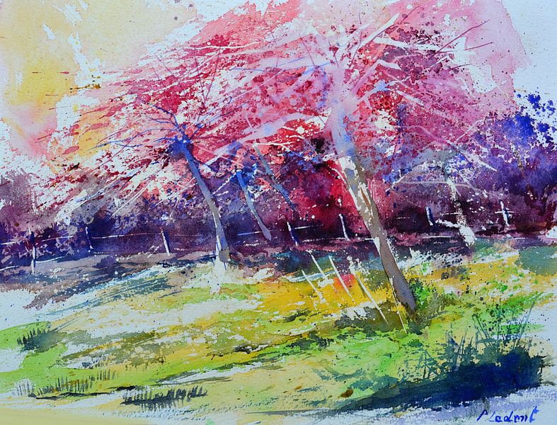 Pink spring by pol ledent