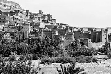 Stadswoestijn van Walljar