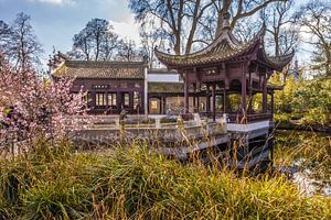 China Tuin in Frankfurt van Christian Müringer