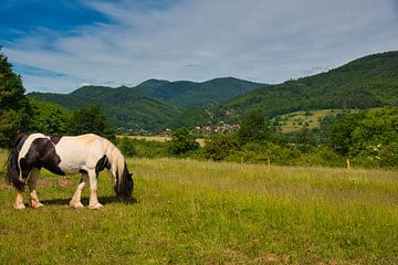 Landschaft im Val de Villé in den Vogesen von Tanja Voigt