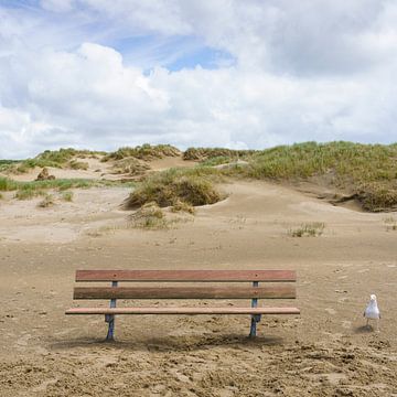 Een houten bank staat eenzaam op het strand, met alleen een meeuw als gezelschap. De duinen vormen een indrukwekkende achtergrond. van Marco Hoogma