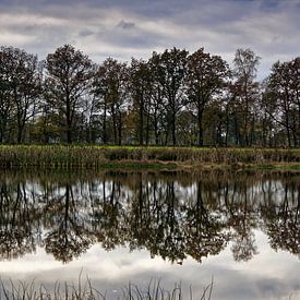 reflexion 4 by Cor Woudstra