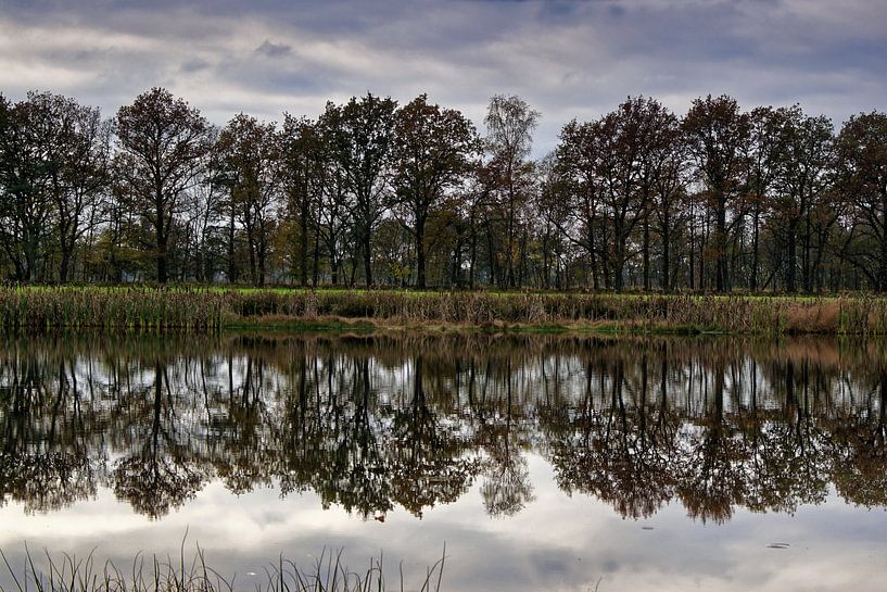 Reflexion 4 von Cor Woudstra