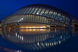 Valencia by Calatrava van Dave Lans