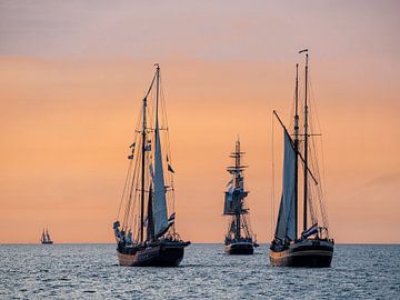 Sailing ships on the Hanse Sail sur Rico Ködder