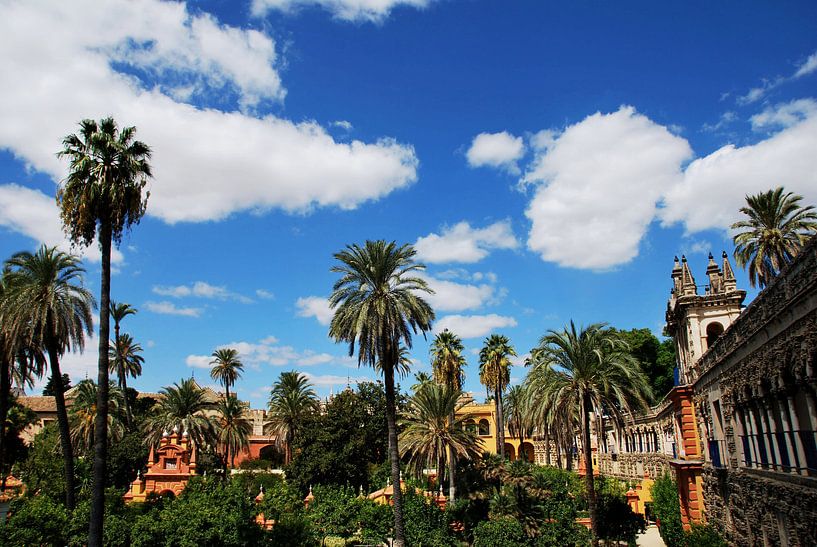 Gardens in the city of Seville, Spain by Homemade Photos