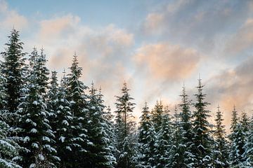 Wúnderbar! by Max ter Burg Fotografie