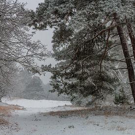 Snowy Morning van William Mevissen