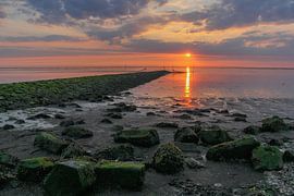 Une soirée sur la WAD sur Berend Pol