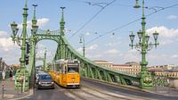 De groene brug in Boedapest Hongarije van Hilda Weges thumbnail