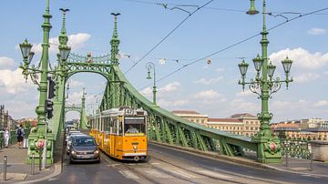 De groene brug in Boedapest Hongarije van Hilda Weges