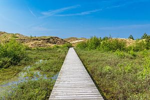 Landschaft in den Dünen bei Norddorf auf der Insel Amrum