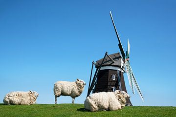 Windmühle, Pellworm, Deutschland