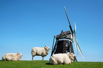 Windmolen, Pellworm, Duitsland van Alexander Ludwig