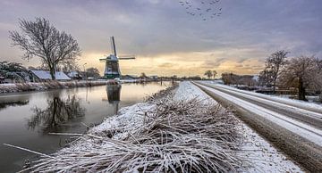 Spiegeling van boom en molen in de winter van peterheinspictures