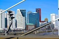 Vanaf de Erasmusbrug