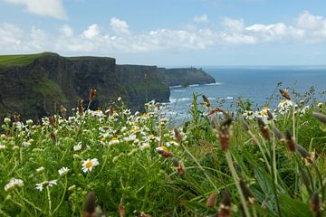 The Cliffs of Moher by Ayu Yusoff