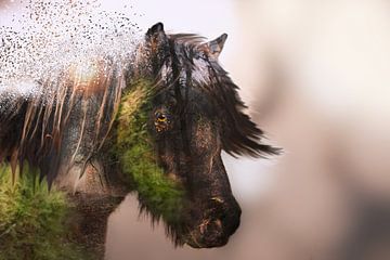 Moss Pony van Kim van Beveren