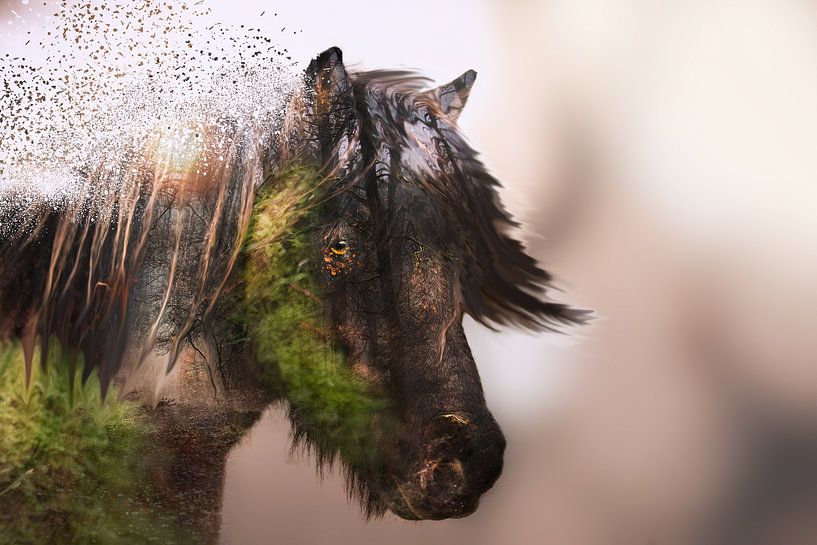 Moos Pony von Kim van Beveren