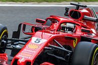 Sebastian Vettel van Nildo Scoop thumbnail