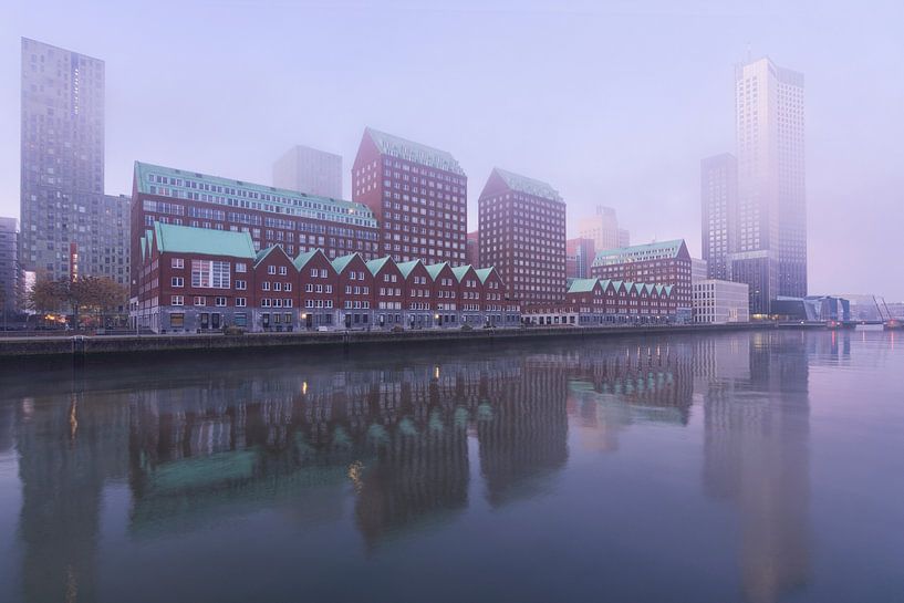 Brouillard au Spoorweghaven à Rotterdam par Charlene van Koesveld