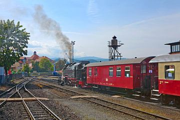 Harzer Schmalspurbahn im Bahnhof Wernigerode von t.ART