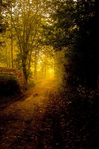 A very good morning to you