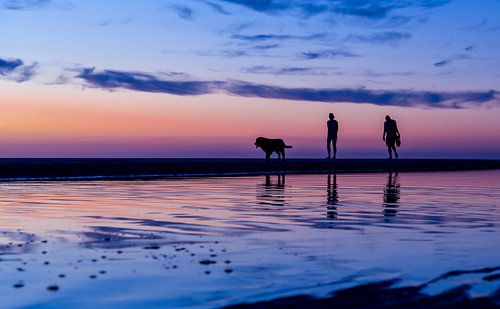 Silhouetted couple walking the dog on the beach at sunset