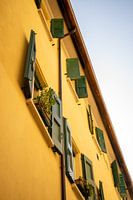 Colourful windows in Bologna