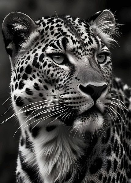 Gepard von nayyara art