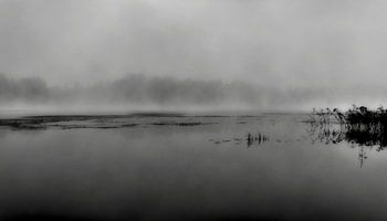 Morning mist over the lake