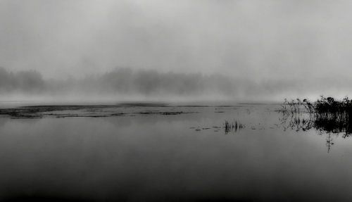 Morning mist over the lake