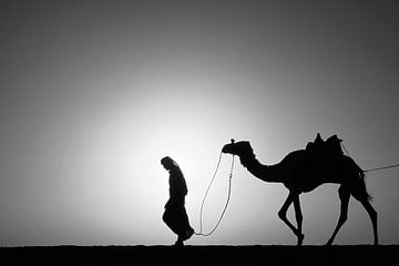 Sahara-Wüste. Beduinen und Kamele. Sonnenuntergang.