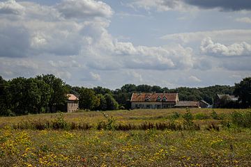 Heuvelland Zuid-Limburg, glooiend lieflijk landschap, vakantieland in Nederland. van Marjolein Zijlstra