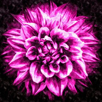 Bloem paarse dahlia van Dieter Walther