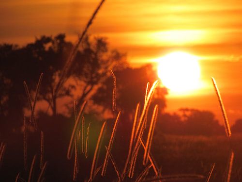 Zonsondergang in Afrika