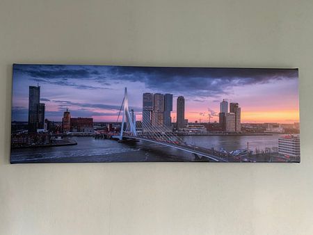 Rush hour in Rotterdam - Panorama skyline sunset