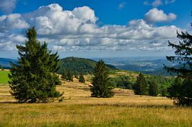Landscape in the Vosges by Tanja Voigt