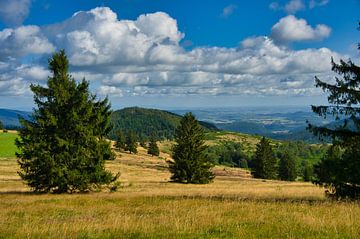 Landschap in de Vogezen van Tanja Voigt