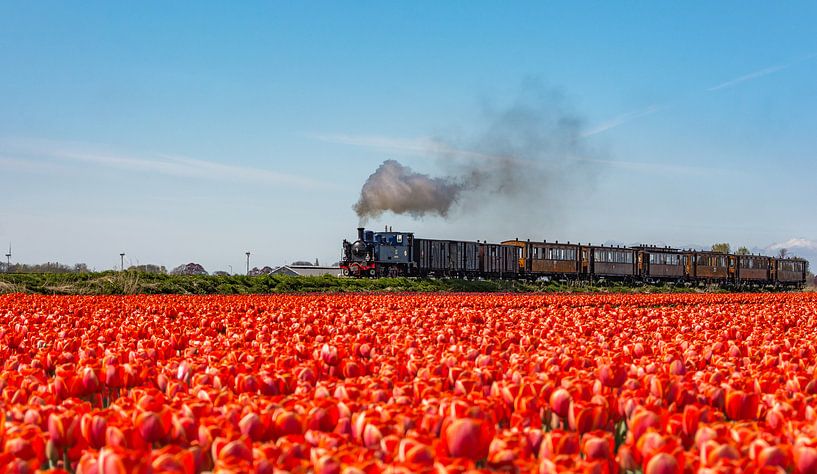 Traditionele Stoomtram nabij Oostwoud (West-Friesland) van Ardi Mulder