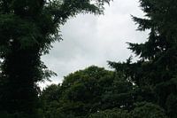 Buiten